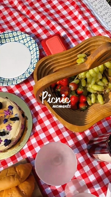 Picnic Moments 