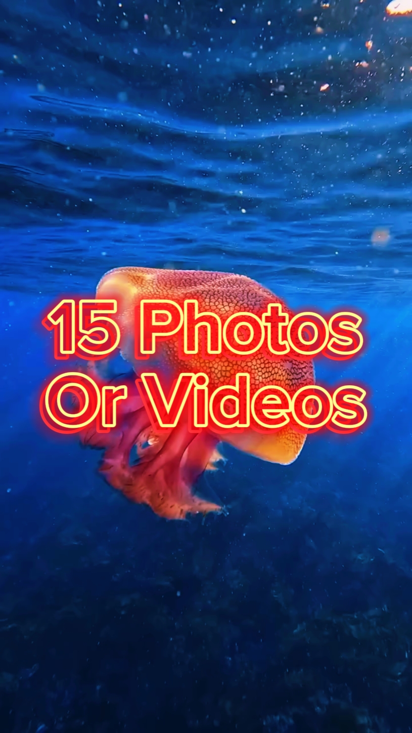 15 Slide Video