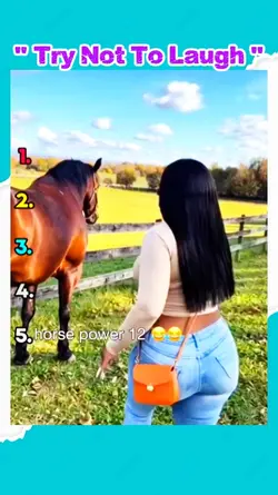 Try not to laugh 
