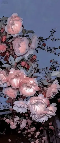 3d wallpaper