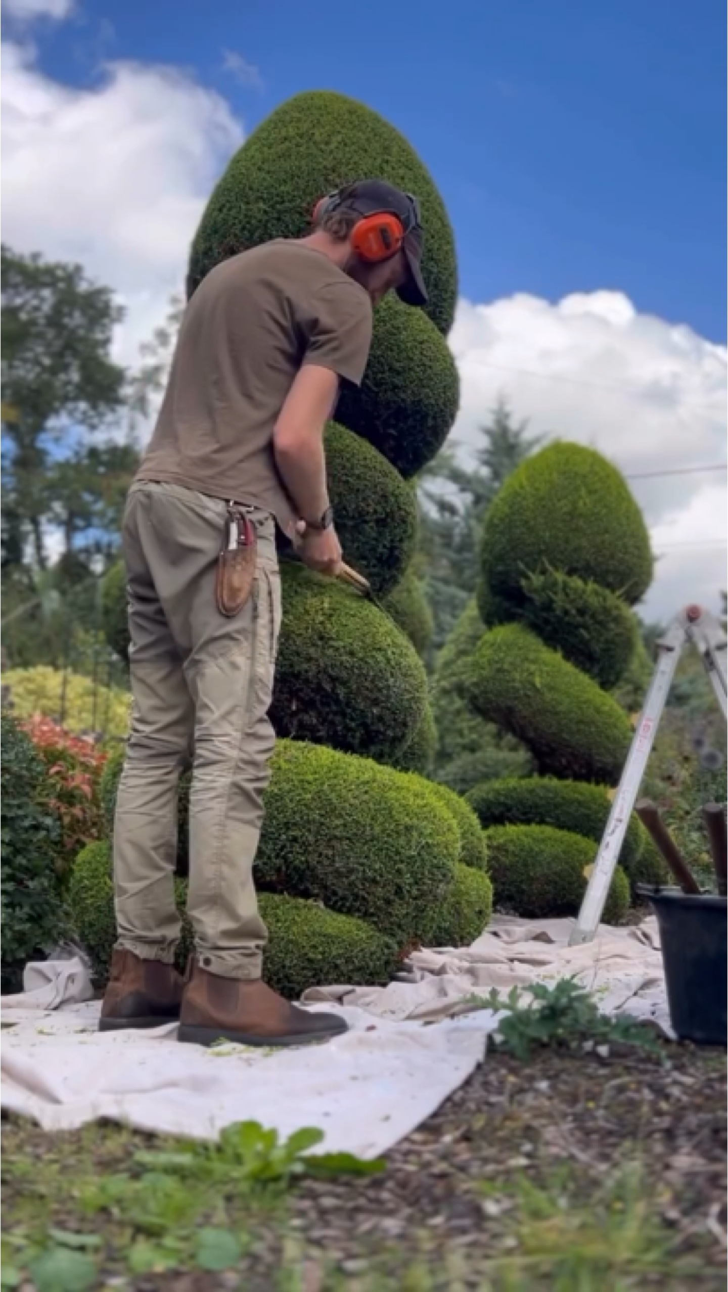 Gardening