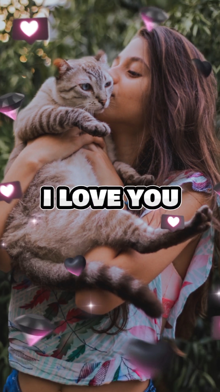 Pet Care Service Branding Display Lyrics Match TikTok Style 