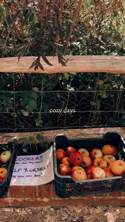 Cozy autumn days