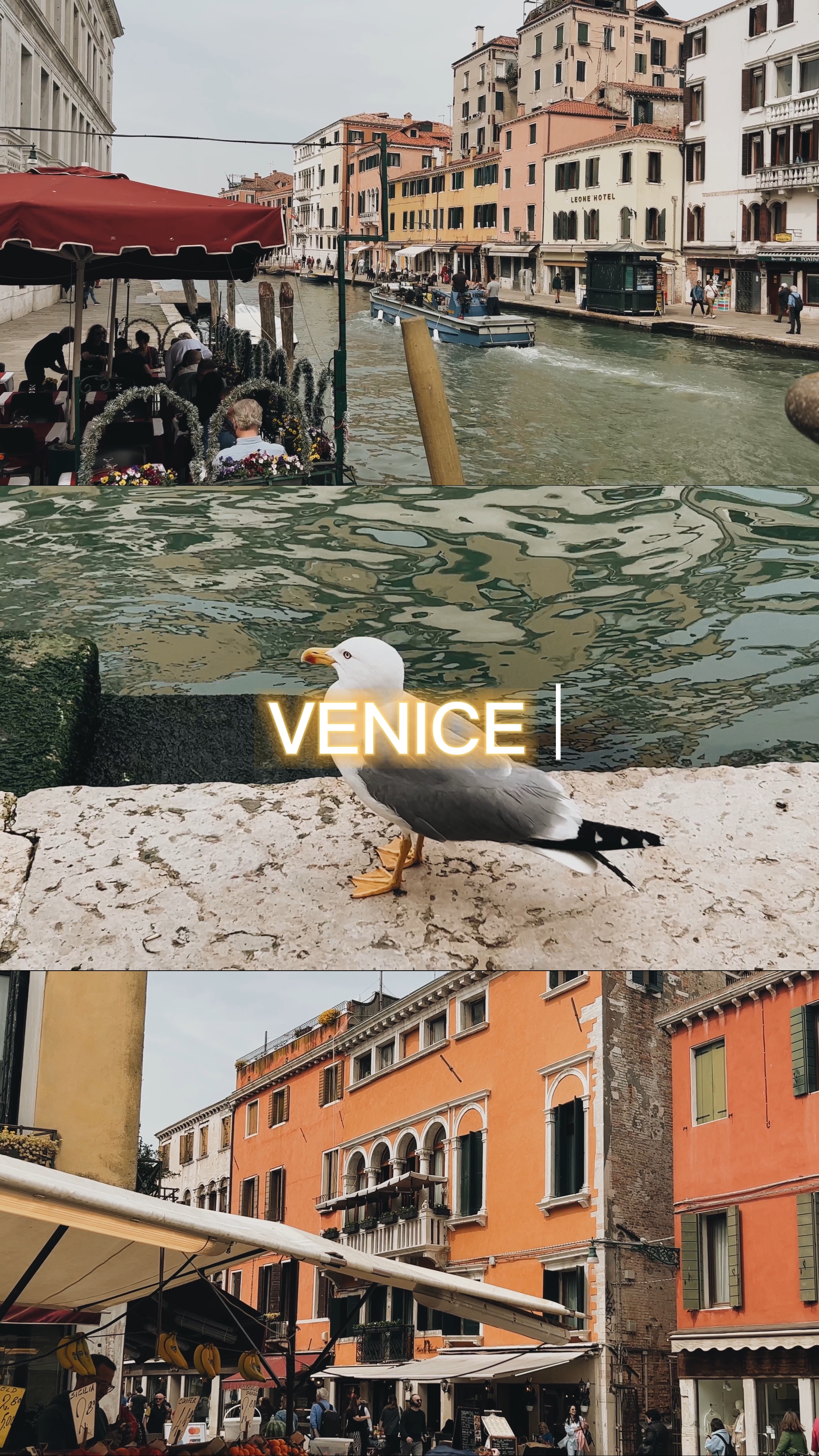 Venecia 