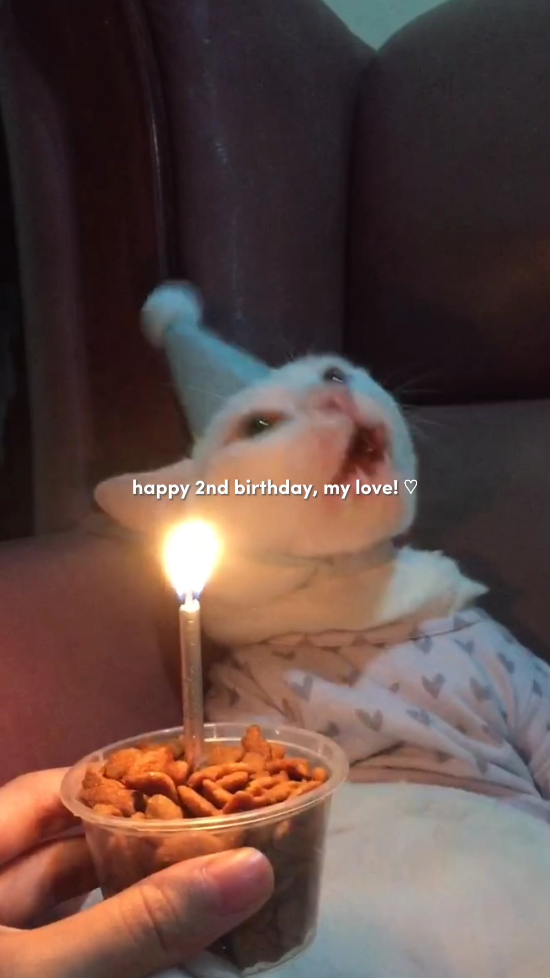 ¡Feliz cumpleaños!