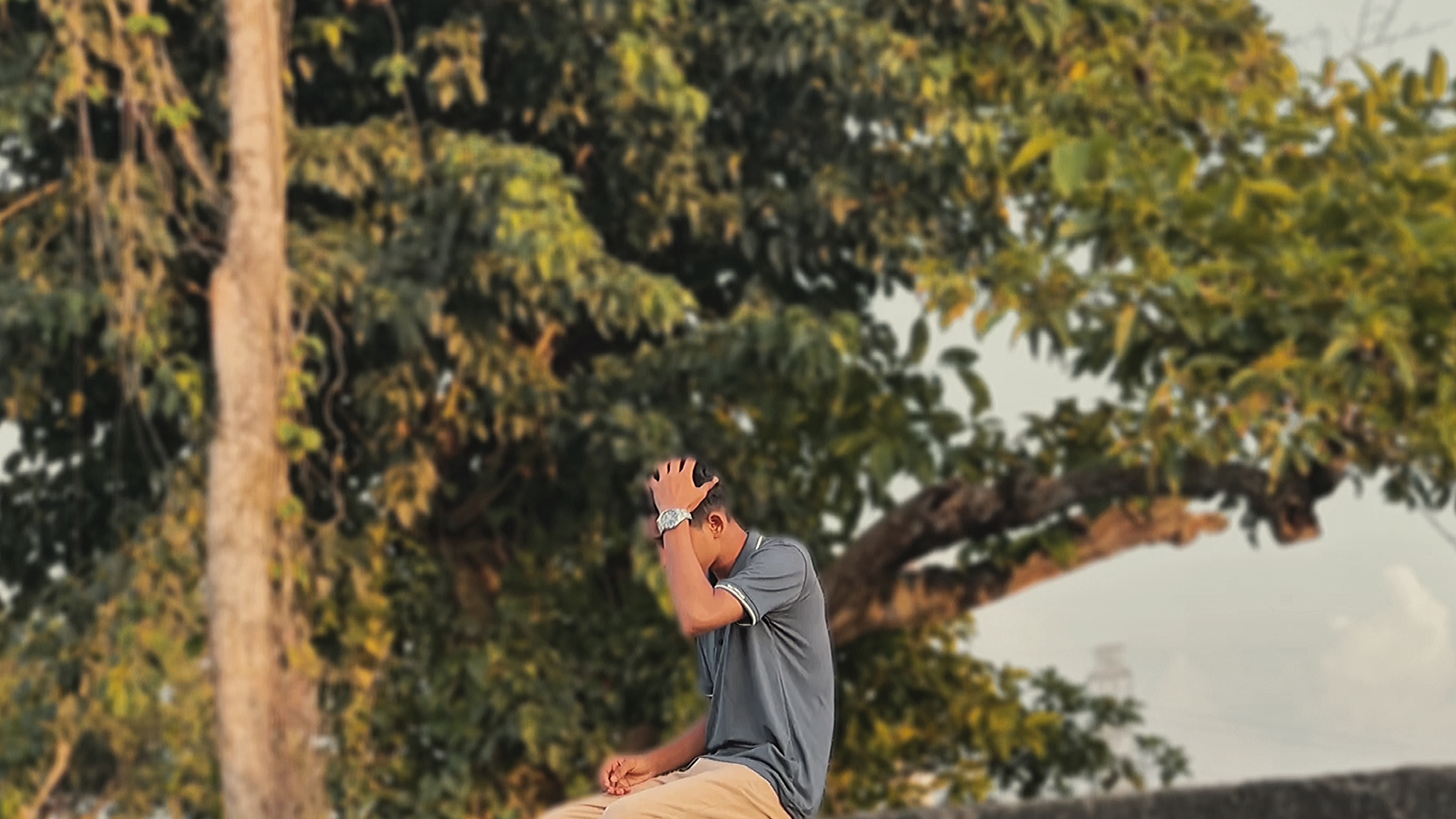Video cinematográfico 