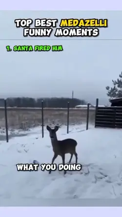 funny moments