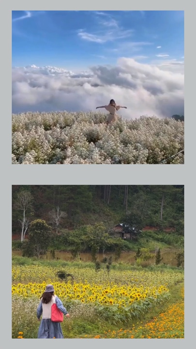 2 semanas después 📸