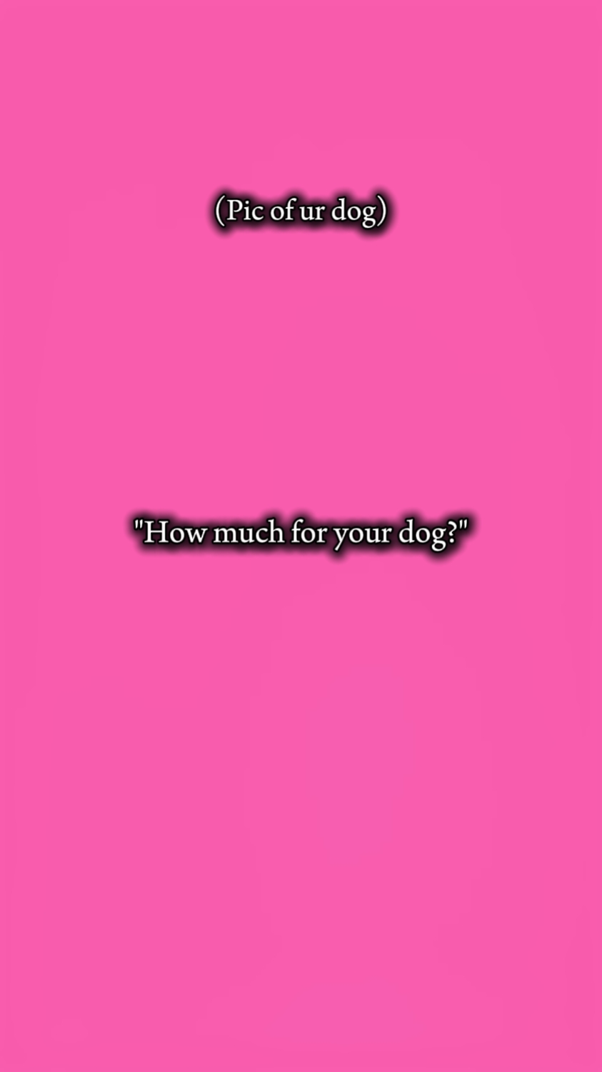 chien