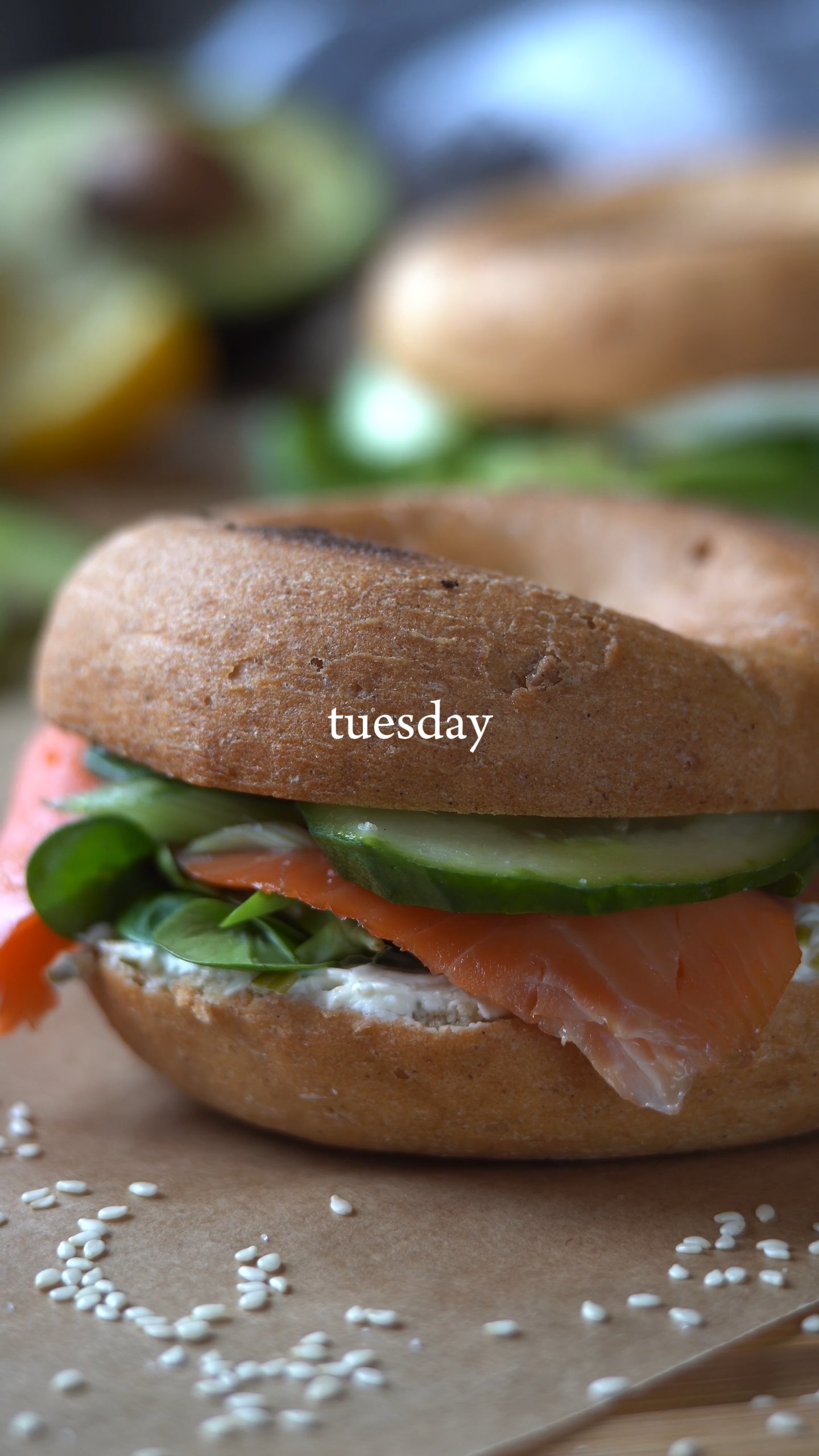 burger everyday