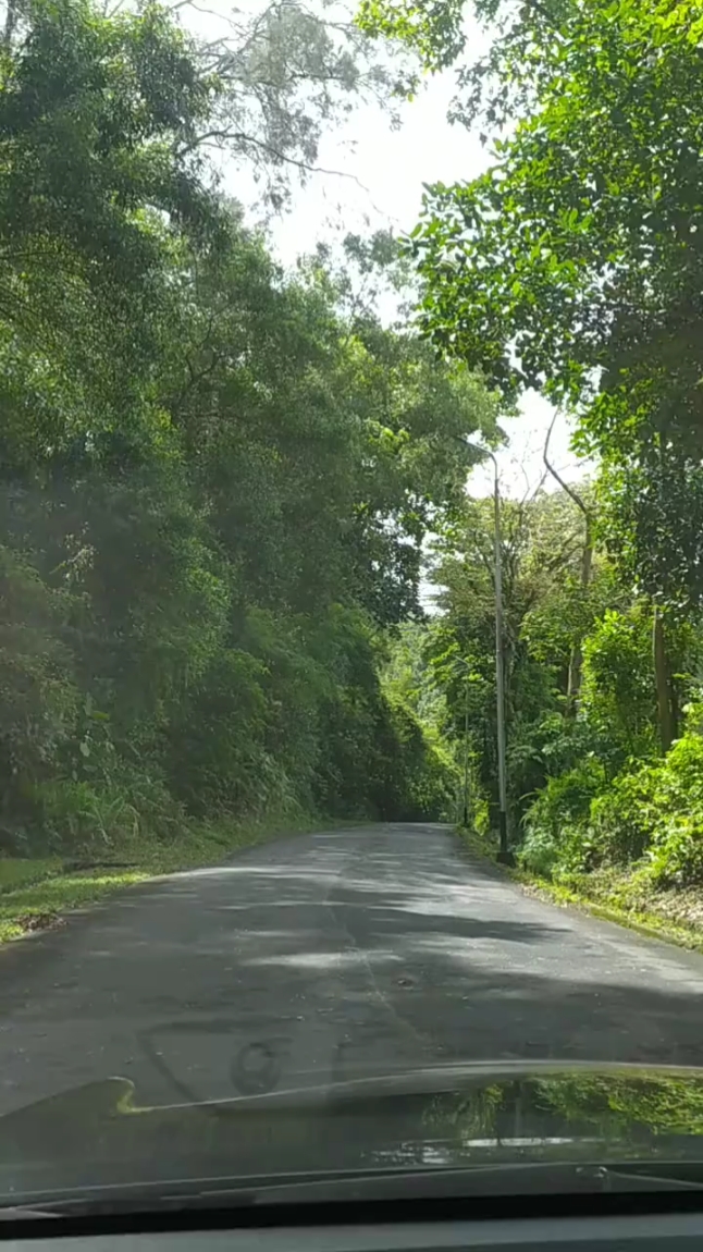 vlog alam