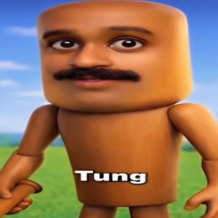 WHAT DOES THE TUNG