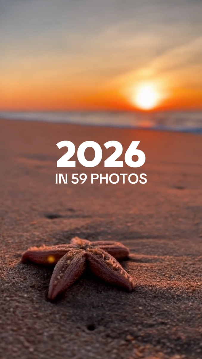 2026 59장의 사진