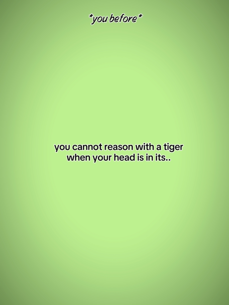 Tigre: 333