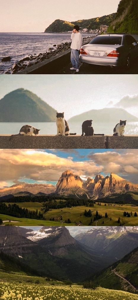 4 Fotos Landschaft