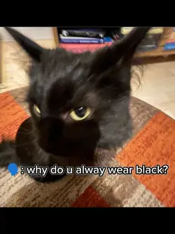 i'm batman