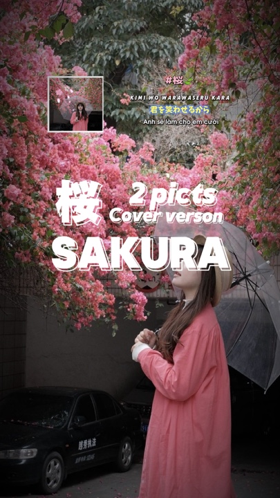 Sakura🌸_ cover