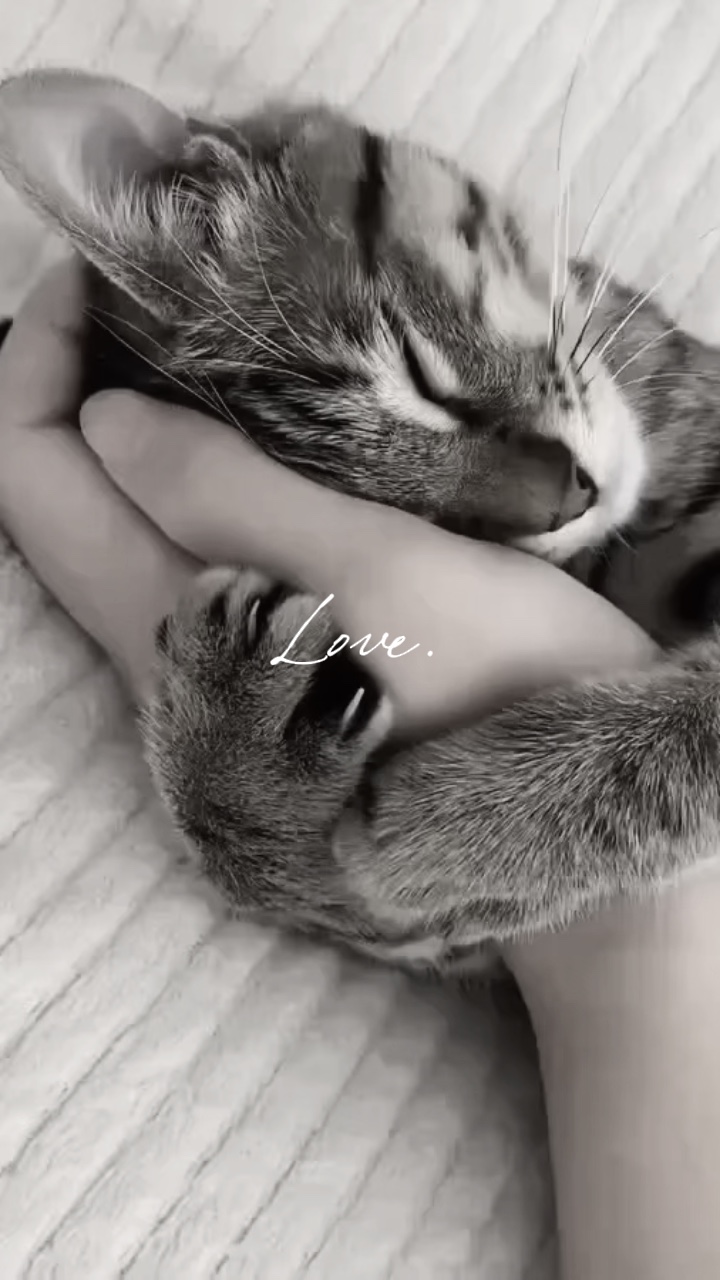 Cinta.