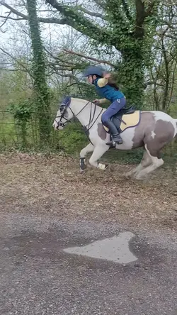 Had a cutesy gallop🥹