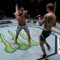 SEAAN UFC