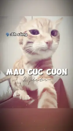 2 ẢNH GIẬT GIẬT CHÁY