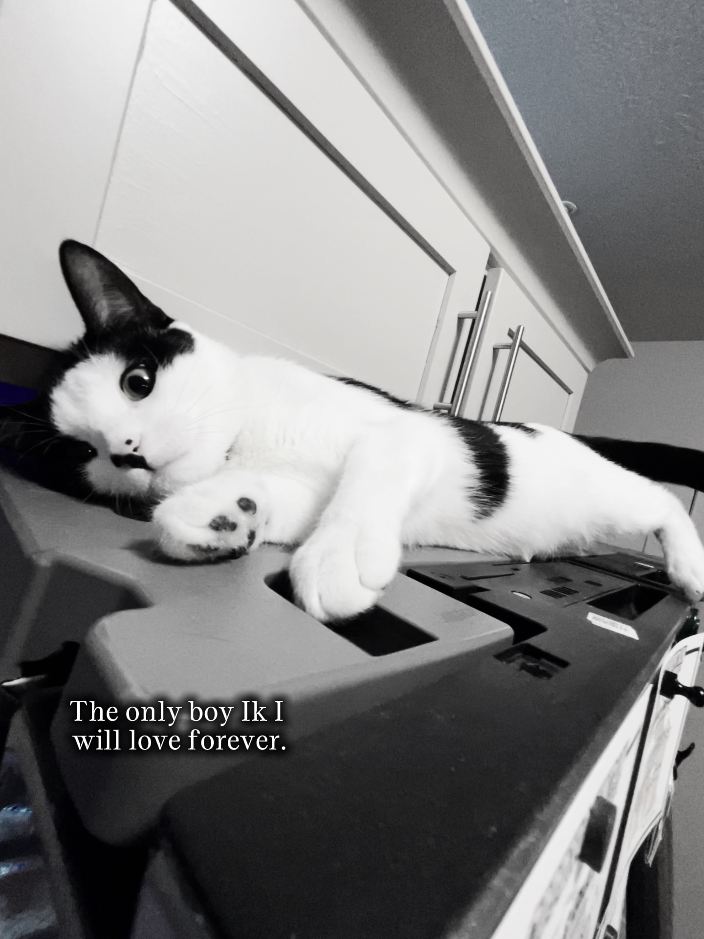 唯一的男孩❤️‍🩹
