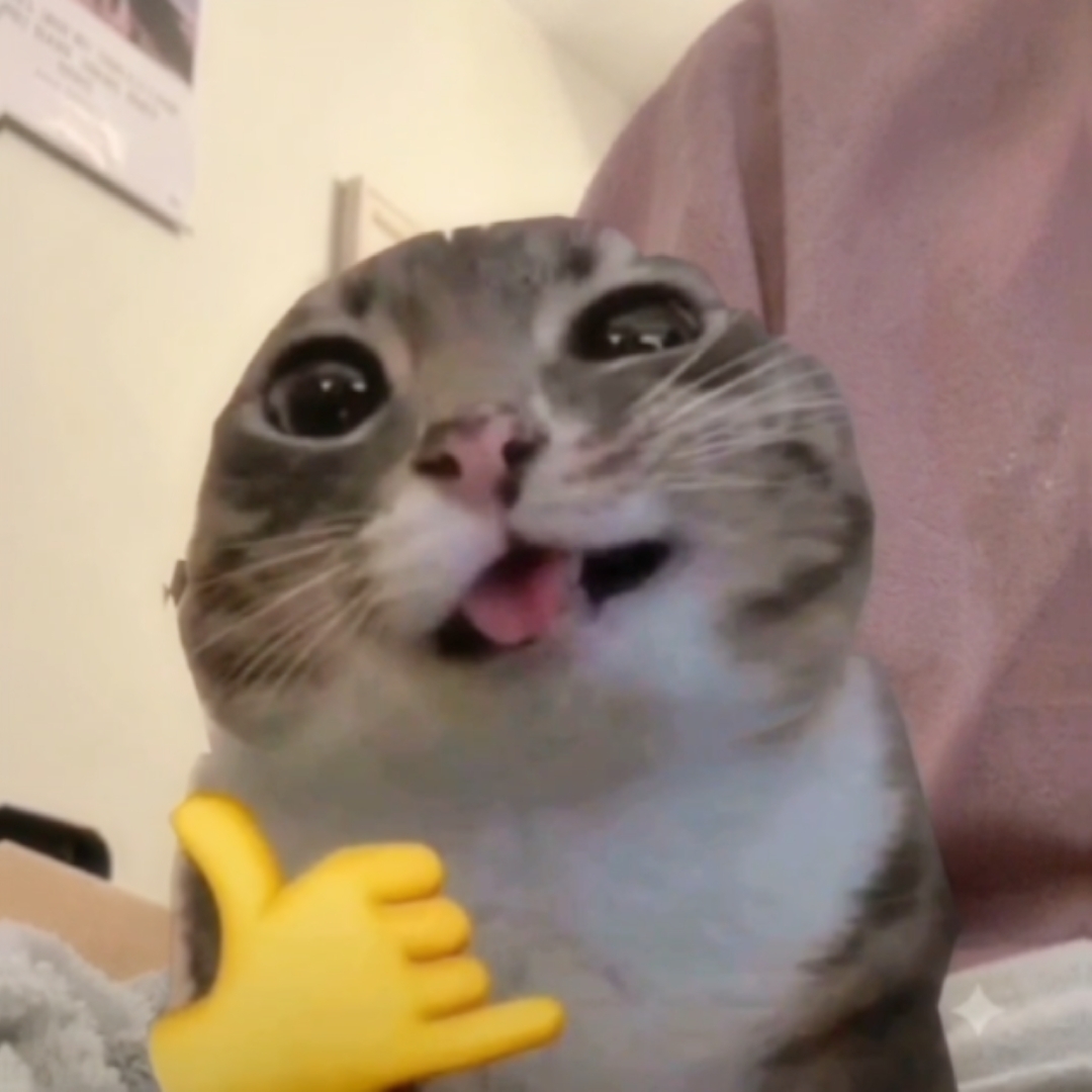 고양이 편집