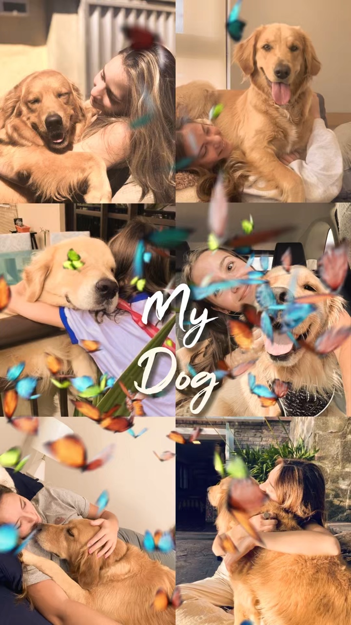 I love My Dog 