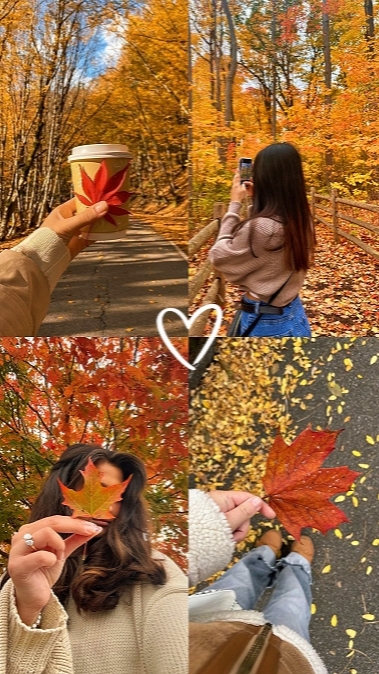 4Bilder