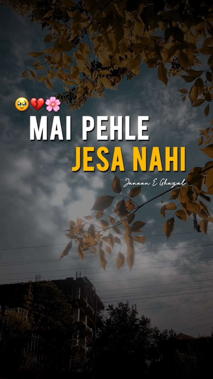 Mai Pehla Jesa Nahi❤️‍🩹