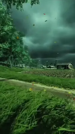 Reflexões diárias