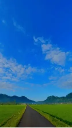 HD