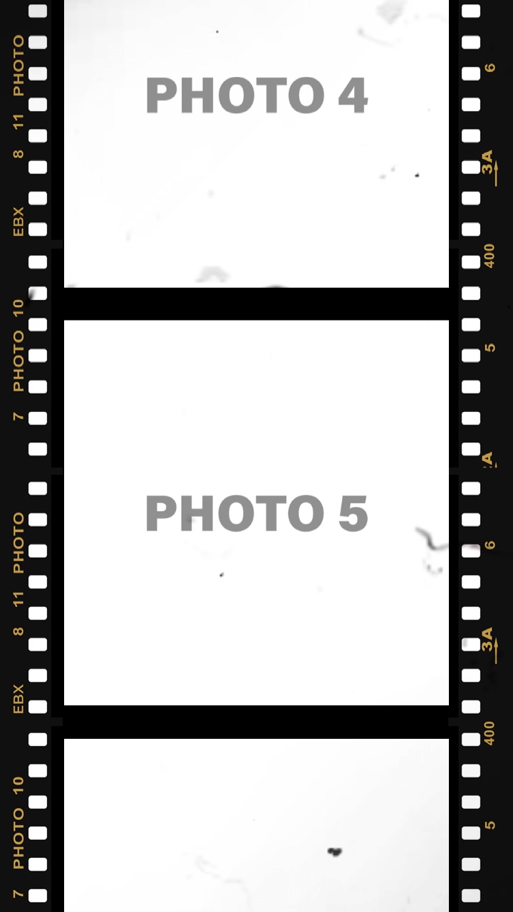 Rouleau de cinéma 