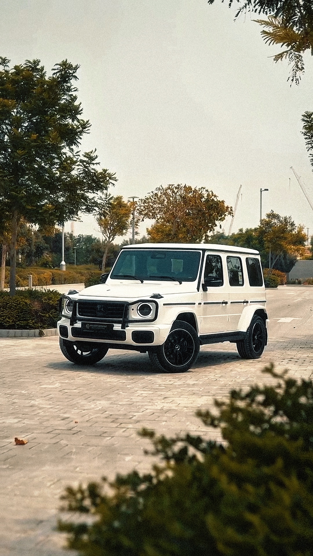 GAYA ARAB 🔥