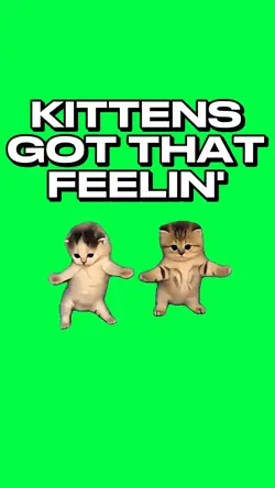 CATS GOT THAT FEELIN