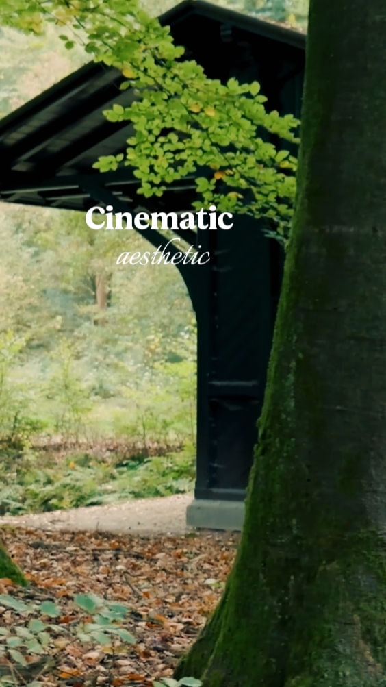 cinematic aesthetic