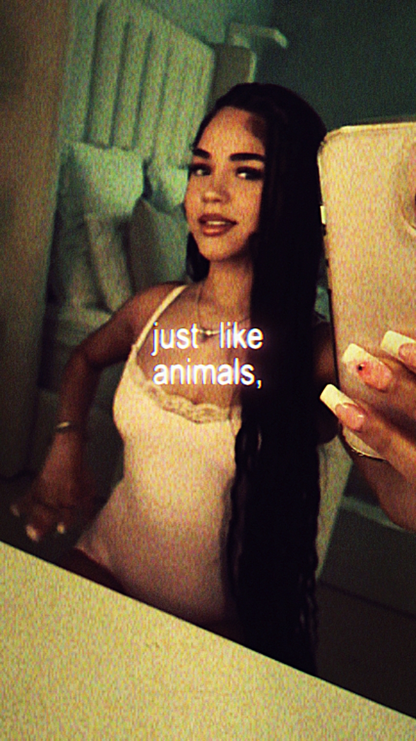Animals