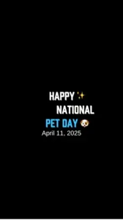 Pet day