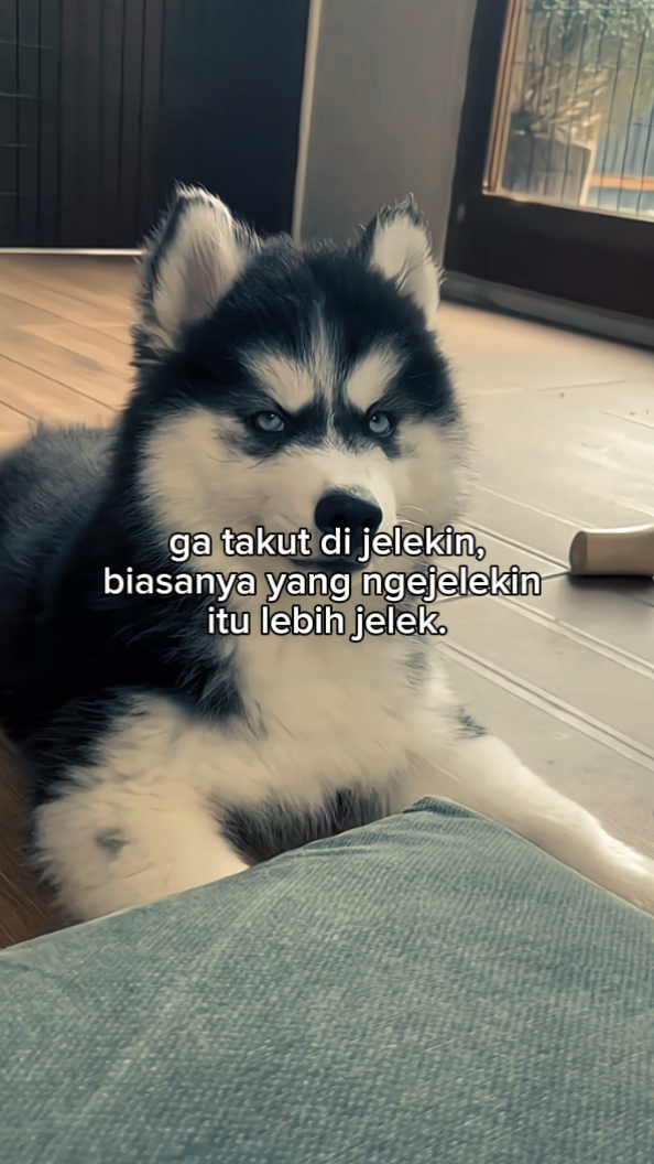 FOTOĞRAF CANLI METİN 