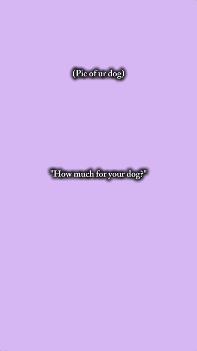 ¿Cuánto cuesta tu perro?