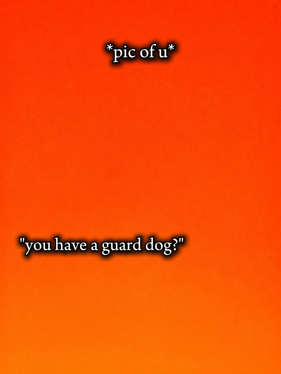 guard dog 
