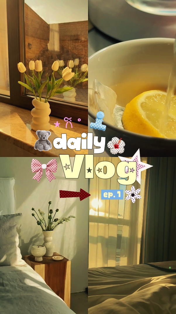 Vlog diario