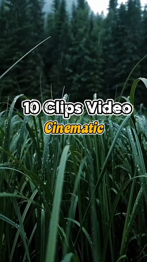 10 Clips Video