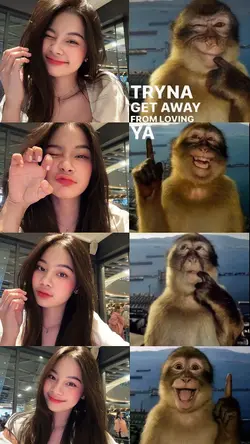 MONKEY TREND