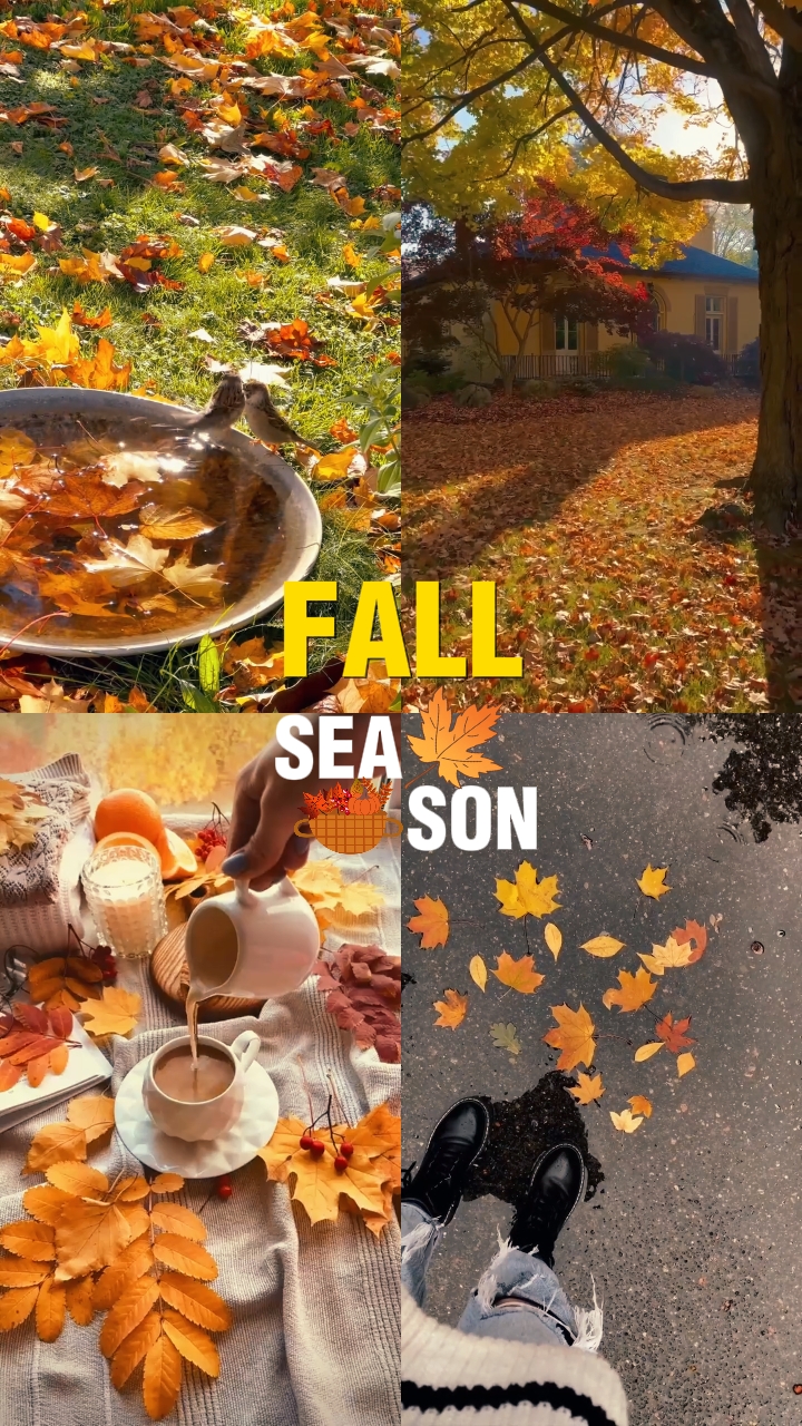 Temporada de otoño 