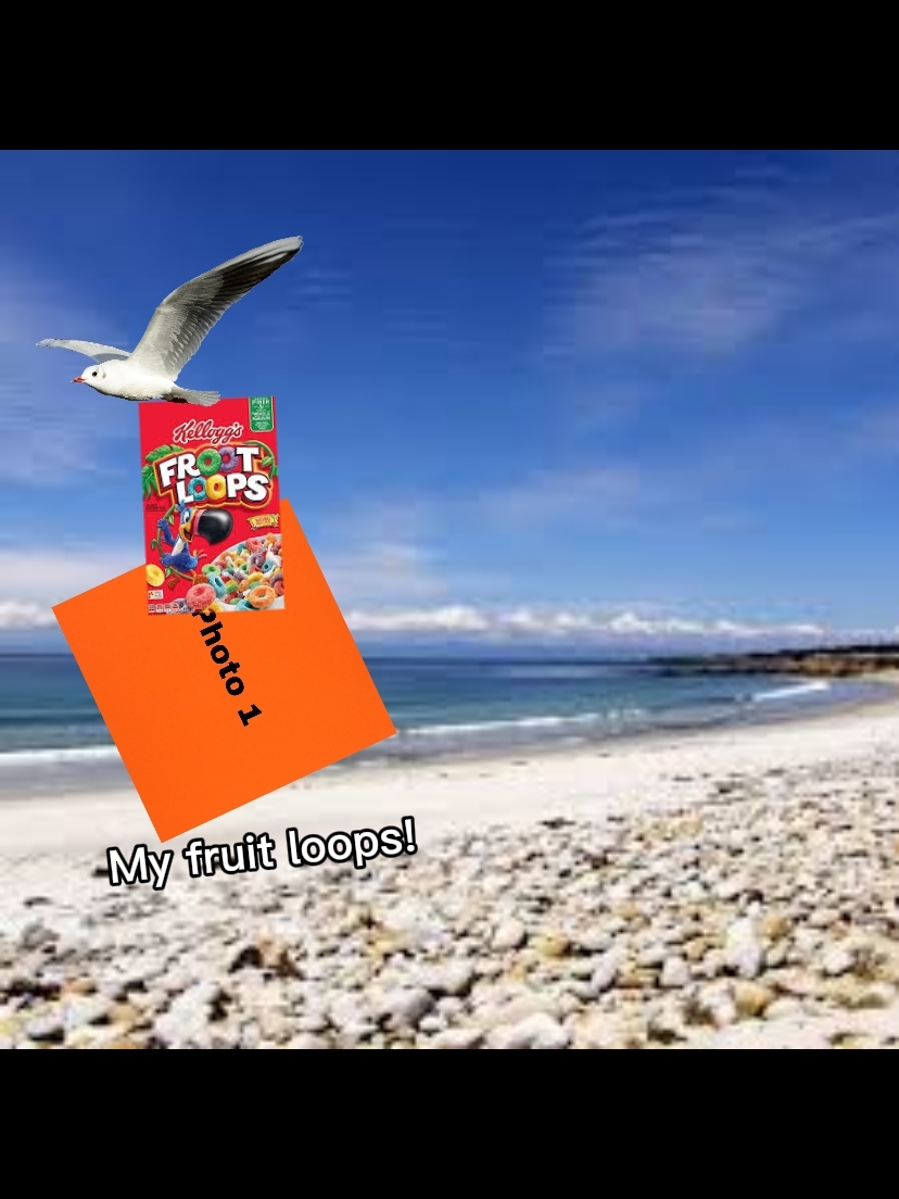 Editor Mestre de Tendências 