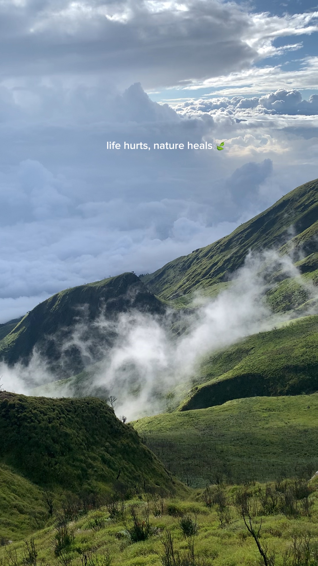 nature heals indeed