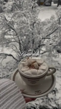jan digital diaries