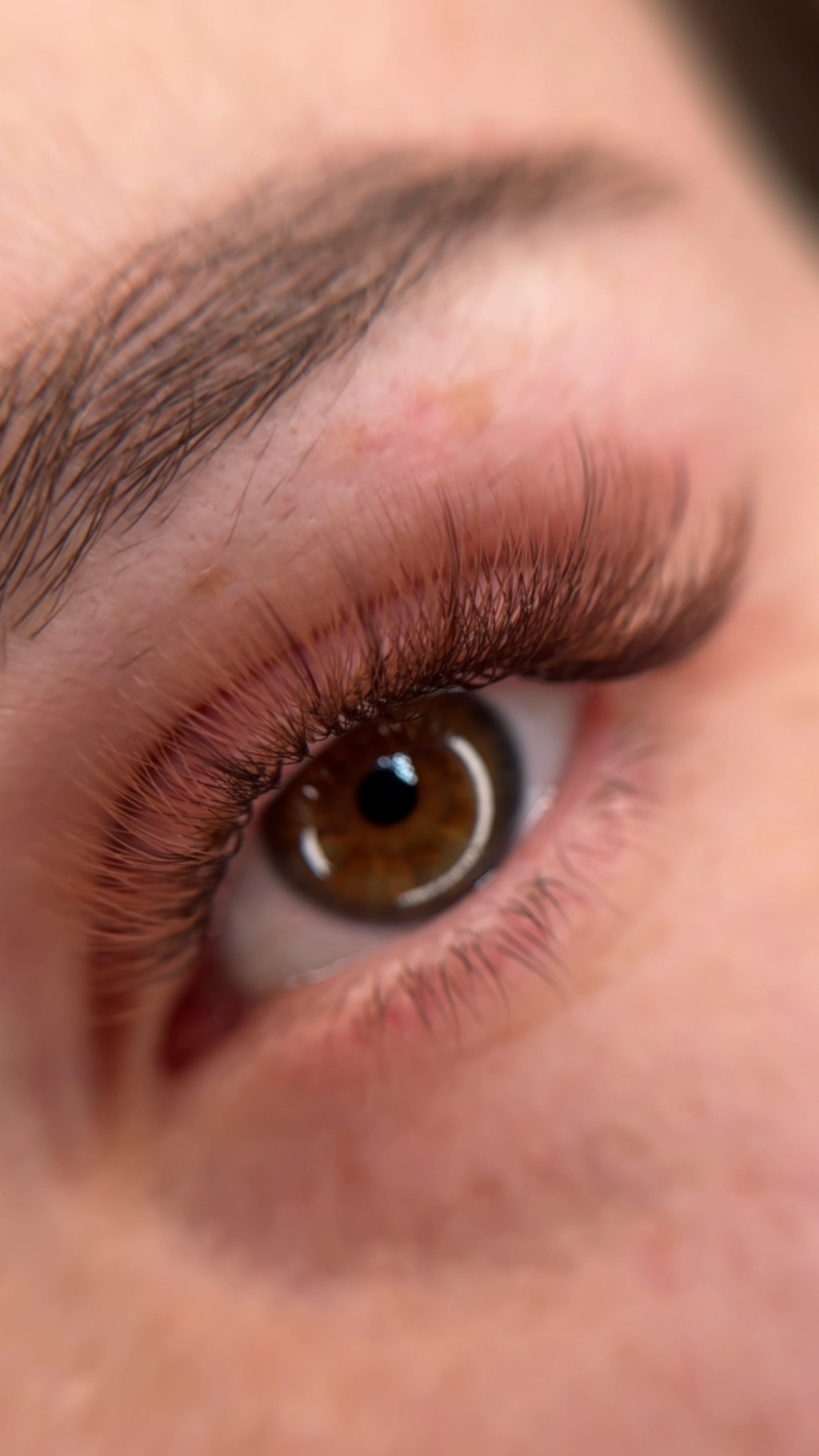 Lash Template 