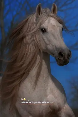 یا رب